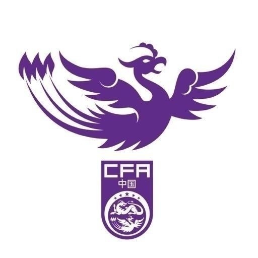  津媒：U17女足明日起兩戰(zhàn)日本定位整體實力，默契度有提升空間